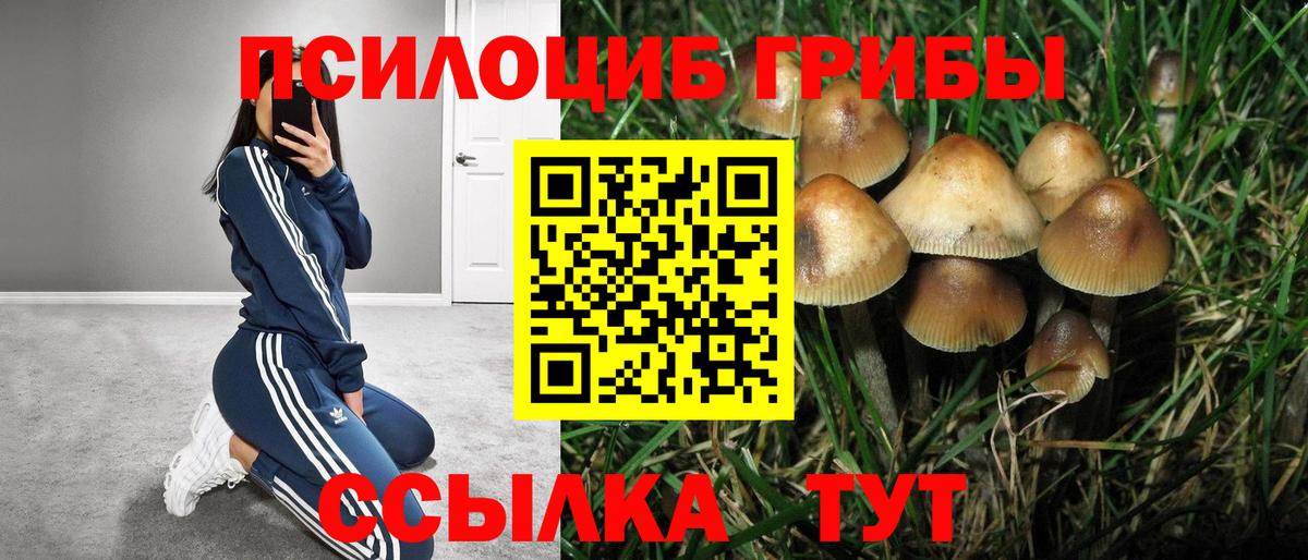 Псилоцибиновые грибы мухоморы  Вход с VPN  Псилоцибиновые грибы мухоморы  магазин продажи   Сибай 