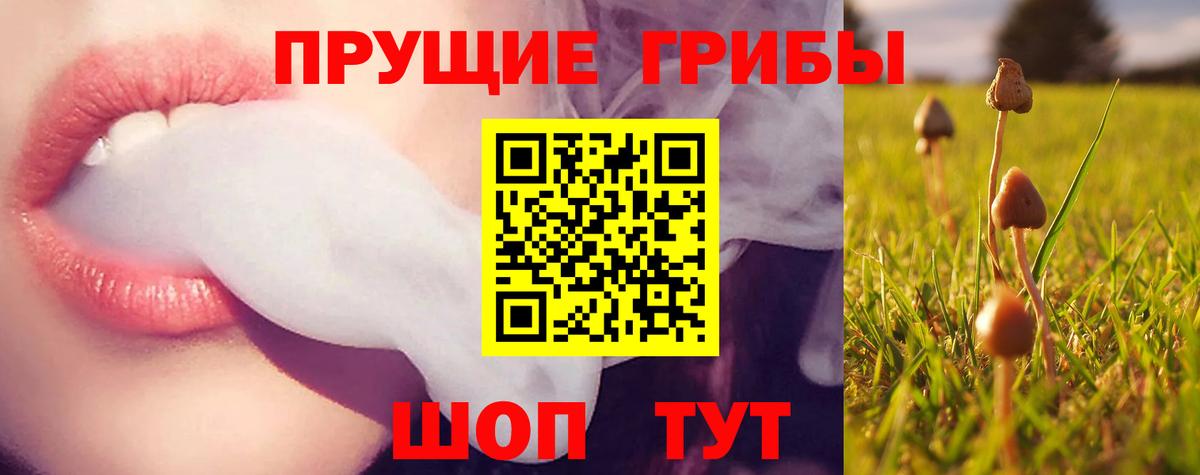 Галлюциногенные грибы мицелий Сибай